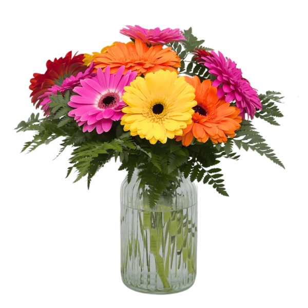 Gerbera Fresh Flower Bouquet front image of fresh flowers