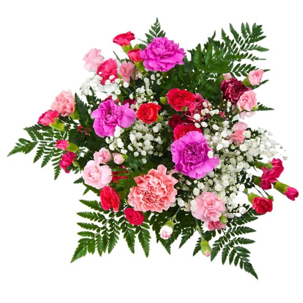 Carnation fresh flower bouquet top down pink and cerise