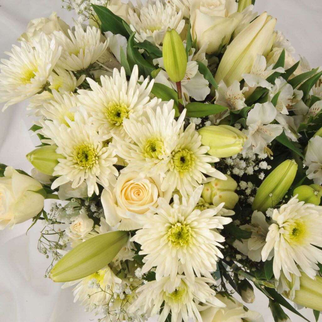 Birthday Flowers - Homeland Florists