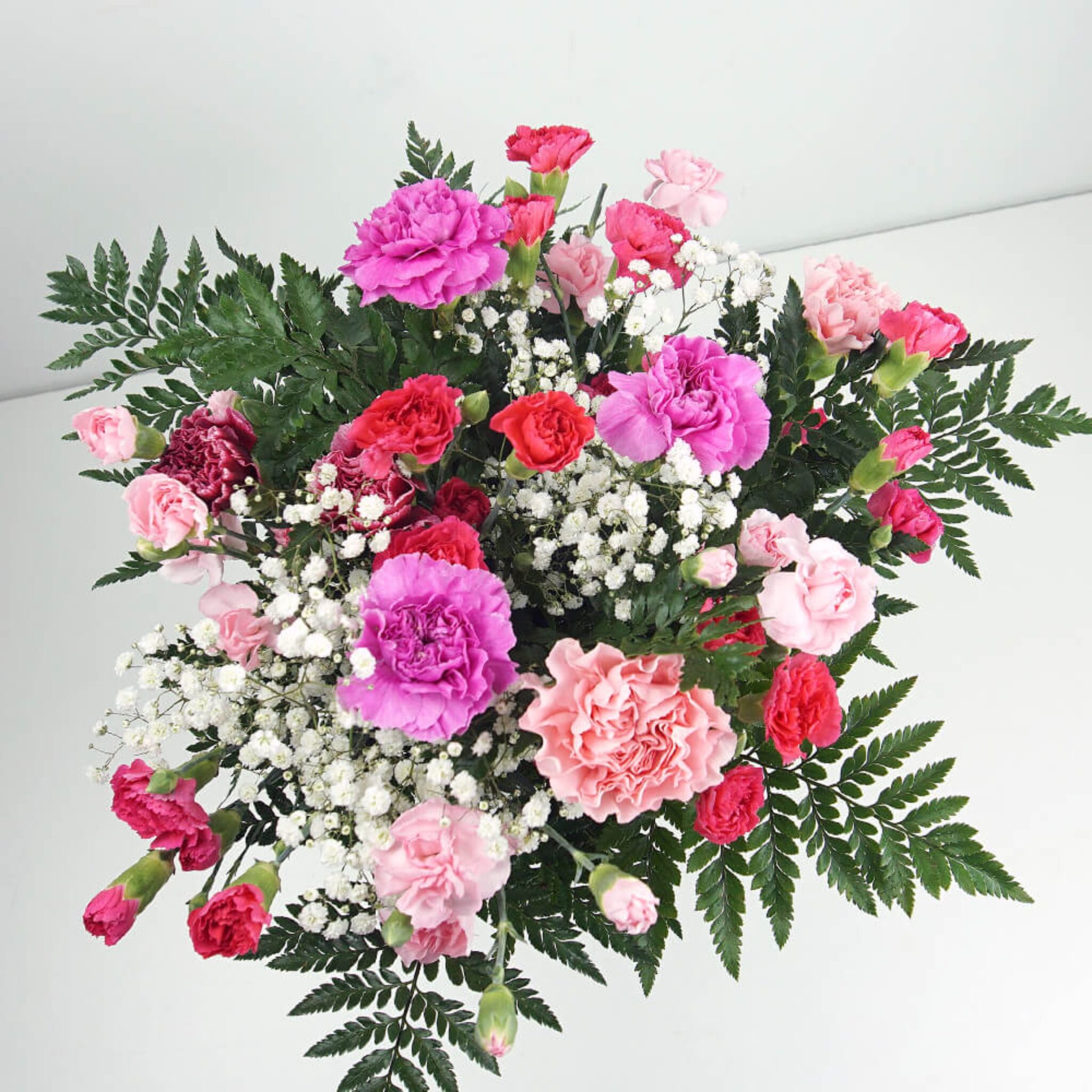 Buy Flowers Online FREE UK Next Day Delivery Homeland Florists   Carnation Flowers M 2048x2048 